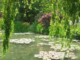 Le Jardin d'Eau