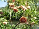 Le Jardin d'Eau