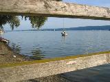 Markelfingen