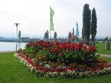 Arbon